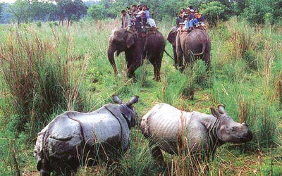 Chitwan National Park