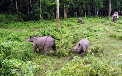 Bardiya National Park